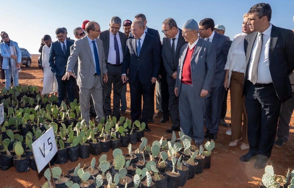 Cactus, semis direct et irrigation. Ahmed El Bouari, a effectué une visite de terrain dans les provinces d’El Jadida et de Benslimane