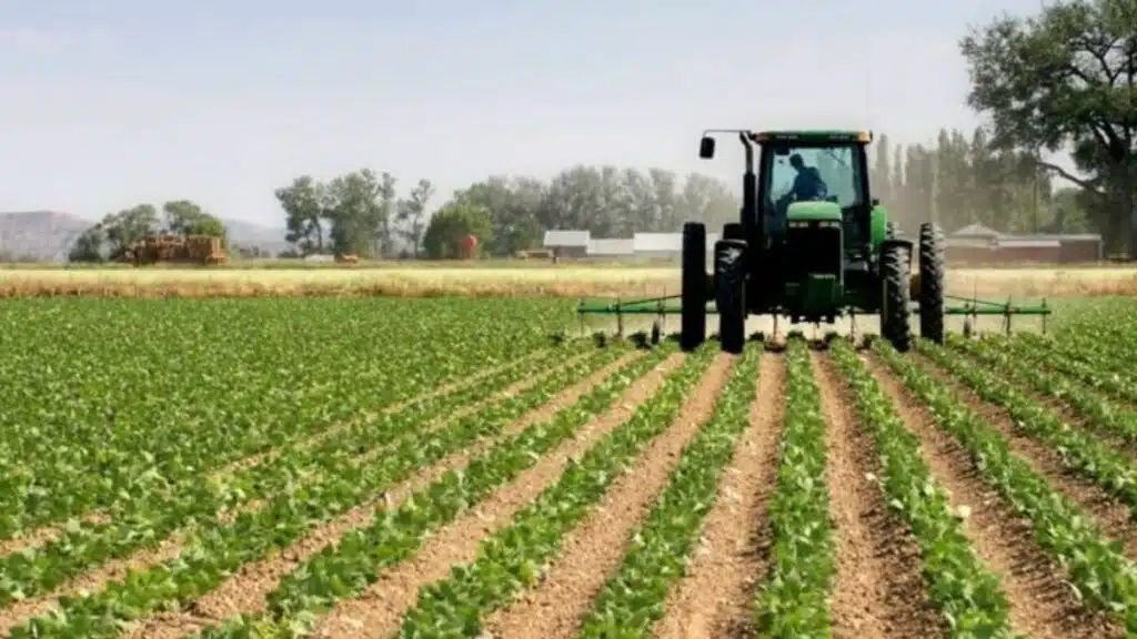 Les premières pluies redonnent espoir aux agriculteurs, en attendant un vrai démarrage de la saison