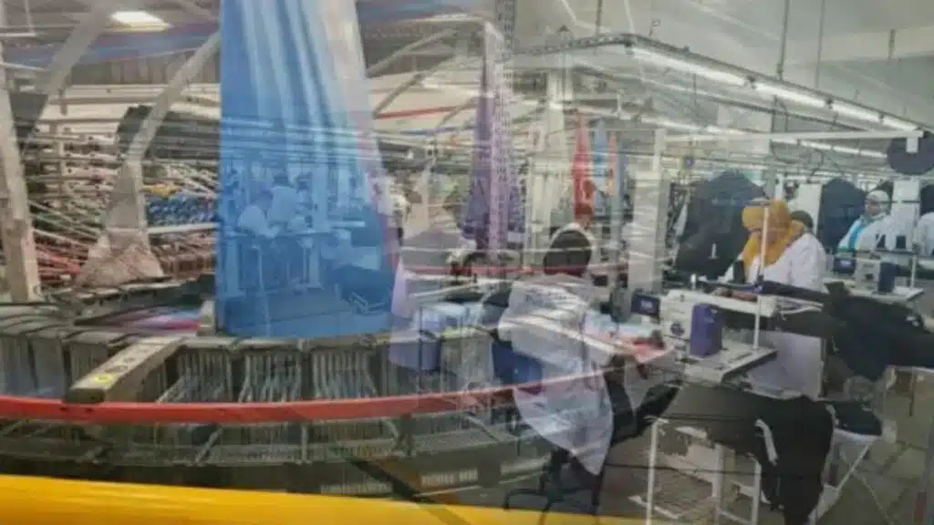 Micro et petites entreprises : un rôle essentiel mais des fragilités persistantes, selon le CESE