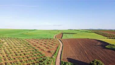 Comment démarre la saison agricole à Casablanca-Settat après les pluies