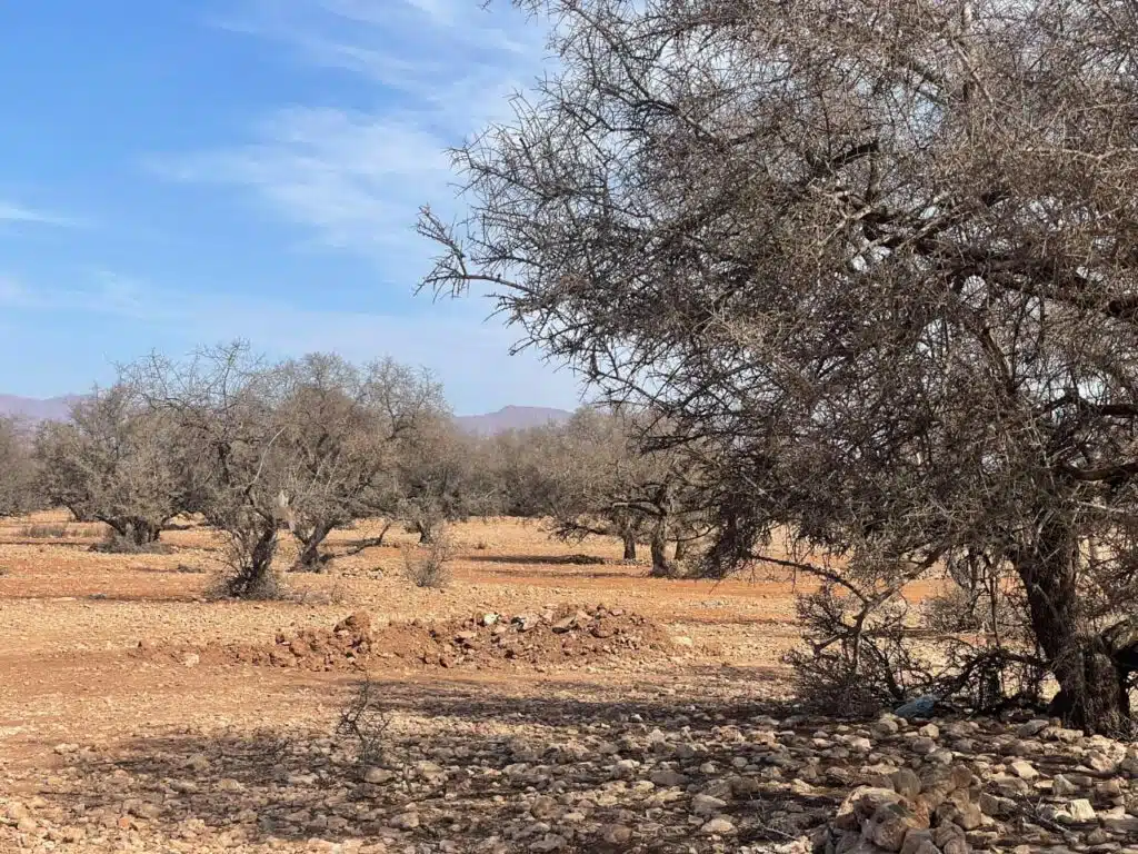 Reportage. La montagne en sa septième année de sécheresse