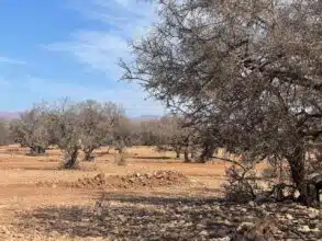 Reportage. La montagne en sa septième année de sécheresse