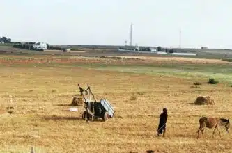 Centres ruraux émergents : la nouvelle arme contre l’exode rural