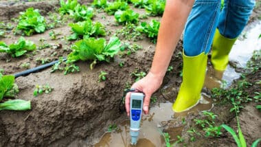 Maroc-Japon : un accord de prêt de 3,9 MMDH pour l’aménagement hydro-agricole de la plaine du Gharb