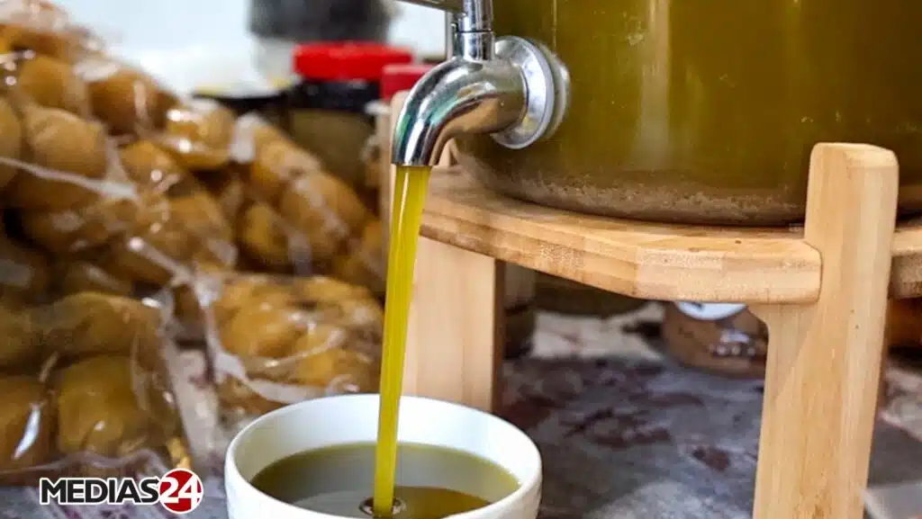 Huile d’olive. Des presses aux centrifugeuses, dans les coulisses d’une unité de trituration (2/3)