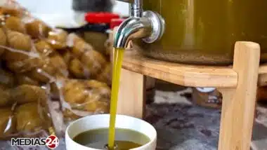 Huile d’olive. Des presses aux centrifugeuses, dans les coulisses d’une unité de trituration (2/3)