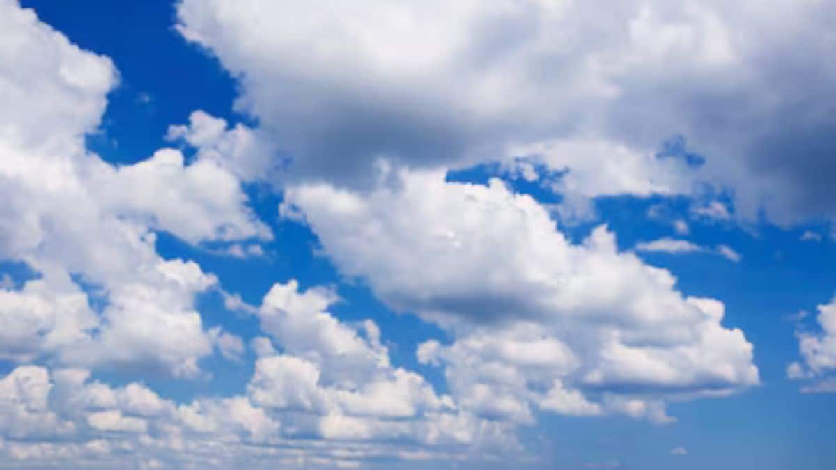 Les prévisions météo pour ce vendredi 21 novembre
