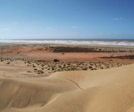 La Plage Blanche de Guelmim Oued-Noun, une beauté atypique