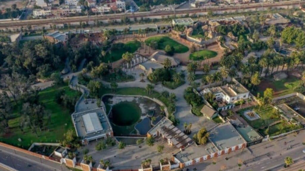 Le zoo de Aïn Sebaâ rouvre ses portes au public le 30 décembre