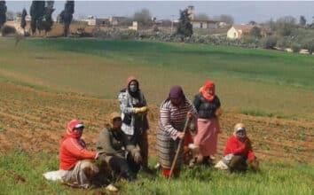 Ouvrières agricoles : la revue &ldquo;Alternatives Rurales&rdquo; met en lumière leur précarité