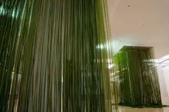 Biennale d’art de Venise : Pourquoi le projet d'Amina Agueznay a été retenu