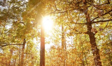 Les prévisions météo pour ce lundi 8 décembre