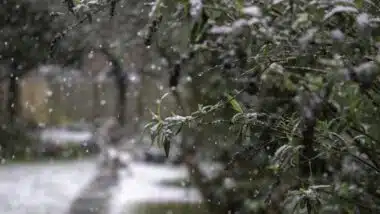 Alerte météo. Neige et fortes pluies du 12 au 14 décembre dans certaines provinces