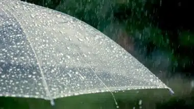 Les prévisions météo pour ce vendredi 12 décembre
