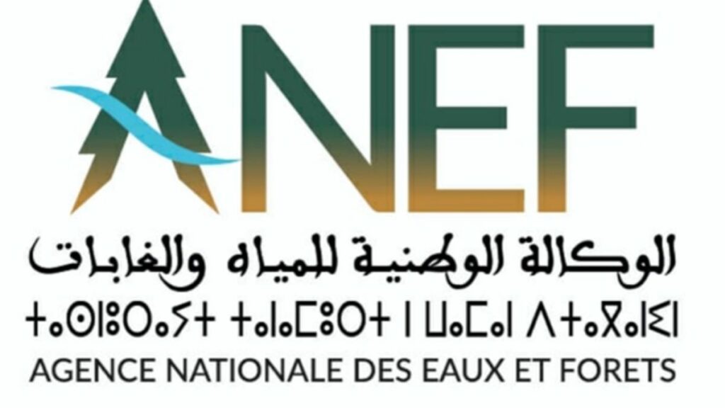 ANEF: extension des aires protégées et projet de parc national à Dakhla-Oued Ed-Dahab