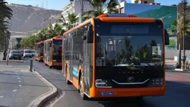 Agadir : Alsa maintenue provisoirement à la tête du transport par bus