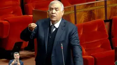 Laftit : &ldquo;Le taxi doit se moderniser pour survivre face aux bus et au numérique&rdquo;