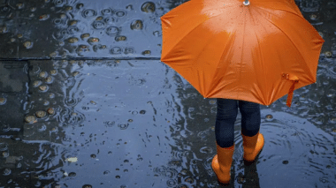 Cumuls de pluie enregistrés au cours des dernières 24 heures