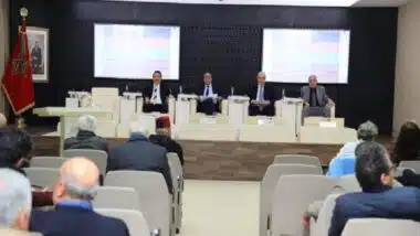 Le CESE adopte trois avis clés et prépare ses travaux pour l’année 2026