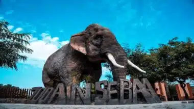 Zoo de Aïn Sebaâ : 300 animaux répartis sur 13 hectares