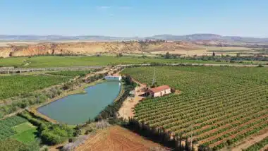 Une excellente campagne agricole s’annonce dans le Souss-Massa