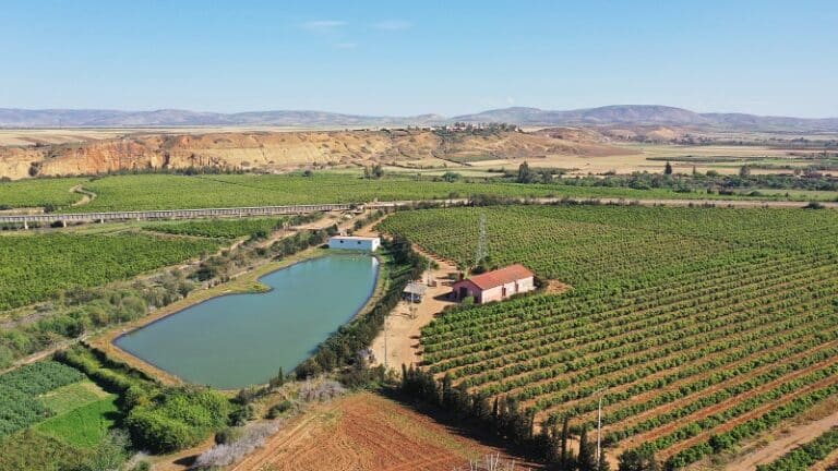 Le point sur la campagne agricole 2025-2026 dans la région de Souss-Massa