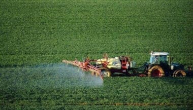 Le point sur la campagne agricole dans la région Marrakech Safi