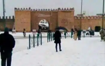 La neige de retour à Oujda après plusieurs années d'absence