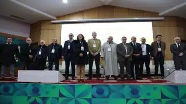 Meknès : un centre technique des oléagineux pour structurer la filière