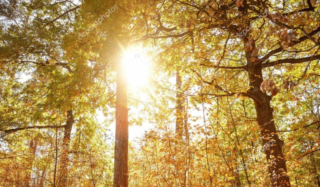 Les prévisions météo pour ce lundi 12 janvier