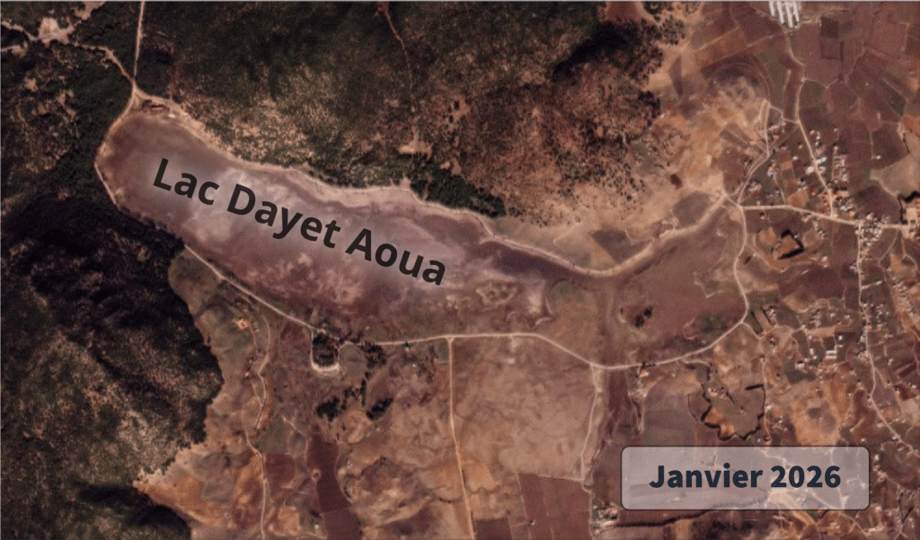 Les pluies redonnent vie aux principaux cours d'eau (images satellites)