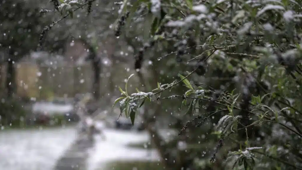 Alerte météo. Des chutes de neige attendues à partir de ce vendredi