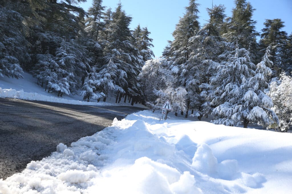 Alerte Météo. Vague de froid et fortes pluies du samedi 17 au mardi 20 janvier