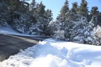 Alerte Météo. Vague de froid et fortes pluies du samedi 17 au mardi 20 janvier