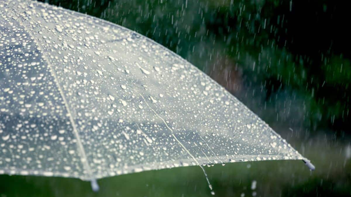 Direction générale de la météorologie, de fortes pluies orageuses et des rafales de vent touchant plusieurs régions du Royaume.