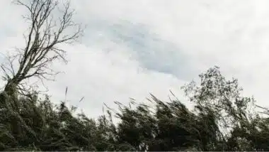 Alerte météo. Fortes pluies et rafales de vent dans plusieurs provinces