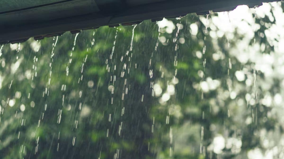 Alerte : averses et fortes rafales de vent attendues dans plusieurs provinces