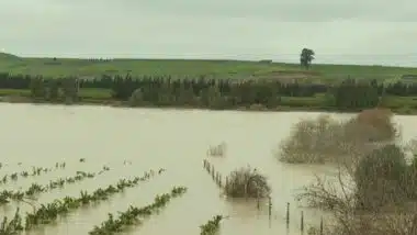 Floods and heavy rains: damage to farms, gains for water reserves