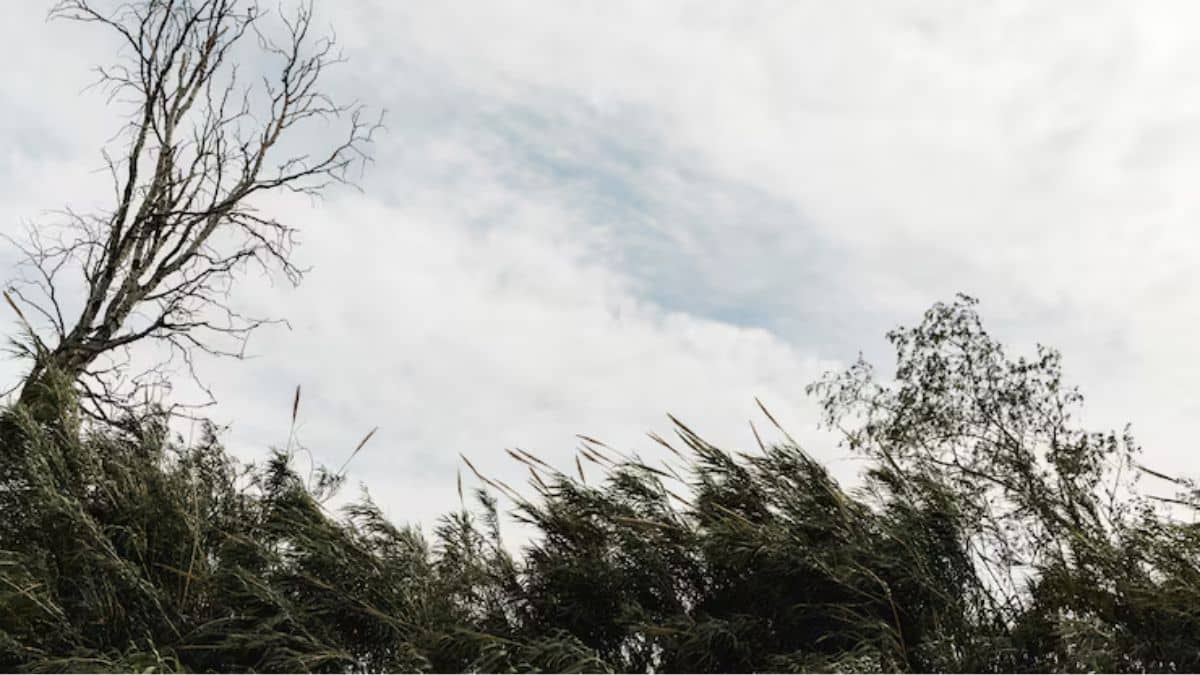 Les prévisions météo pour ce mardi 10 février