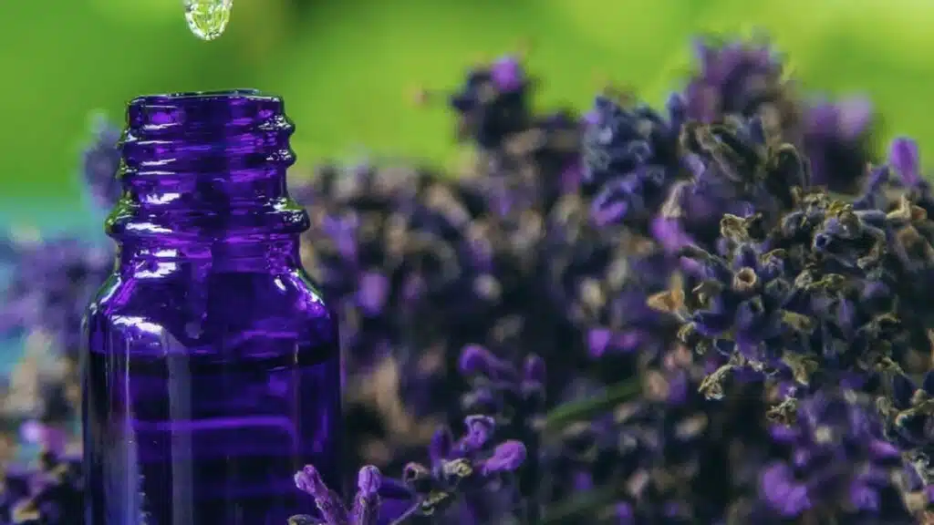 D’ici 2032, le marché mondial des cosmétiques d'inspiration marocaine devrait dépasser les 3 milliards de dollars