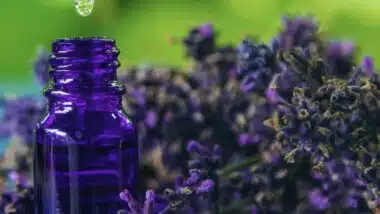 D’ici 2032, le marché mondial des cosmétiques d'inspiration marocaine devrait dépasser les 3 milliards de dollars