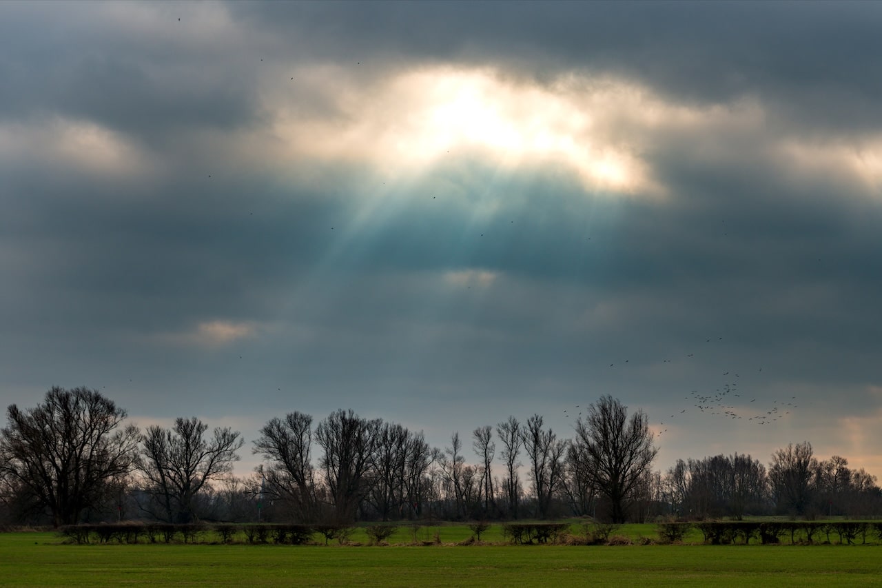 Prévisions météo pour le dimanche 15 février 2026