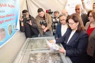 Flambée des prix de la sardine : l’offre congelée suffira-t-elle à casser les prix ?