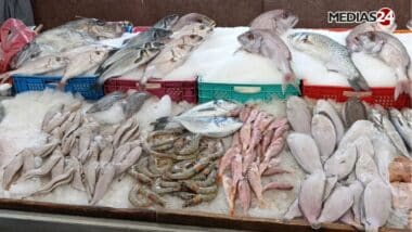 Zakia Driouich promet des sardines congelées à partir de 13 DH