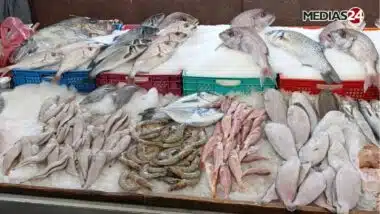 Zakia Driouich promet des sardines congelées à partir de 13 DH