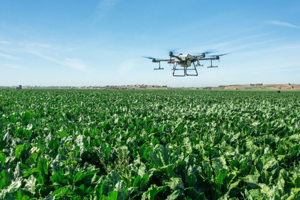 COSUMAR met la data et la technologie au service d’une filière sucrière durable et performante.
