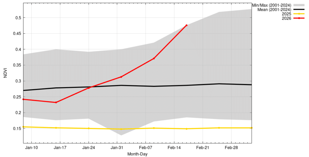 Terres de parcours : le retour spectaculaire du couvert végétal relance l’activité pastorale