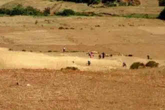 Expropriation pour utilité publique : délais réduits, nouvelles règles… ce que prévoit une nouvelle réforme