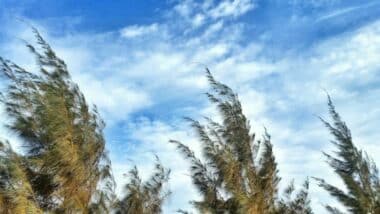 Alerte météo. Vents violents et tempêtes de sable dans plusieurs provinces, jusqu'à 110 km/h