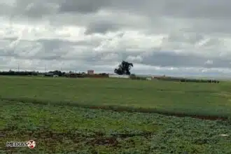 Agricultural Investment Code of 1969: Major Modernization Project Launched